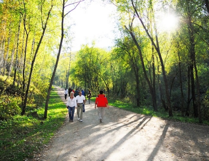 Терренкур - Оздоровительные услуги - Санаторий «Целебный ключ» Ессентуки